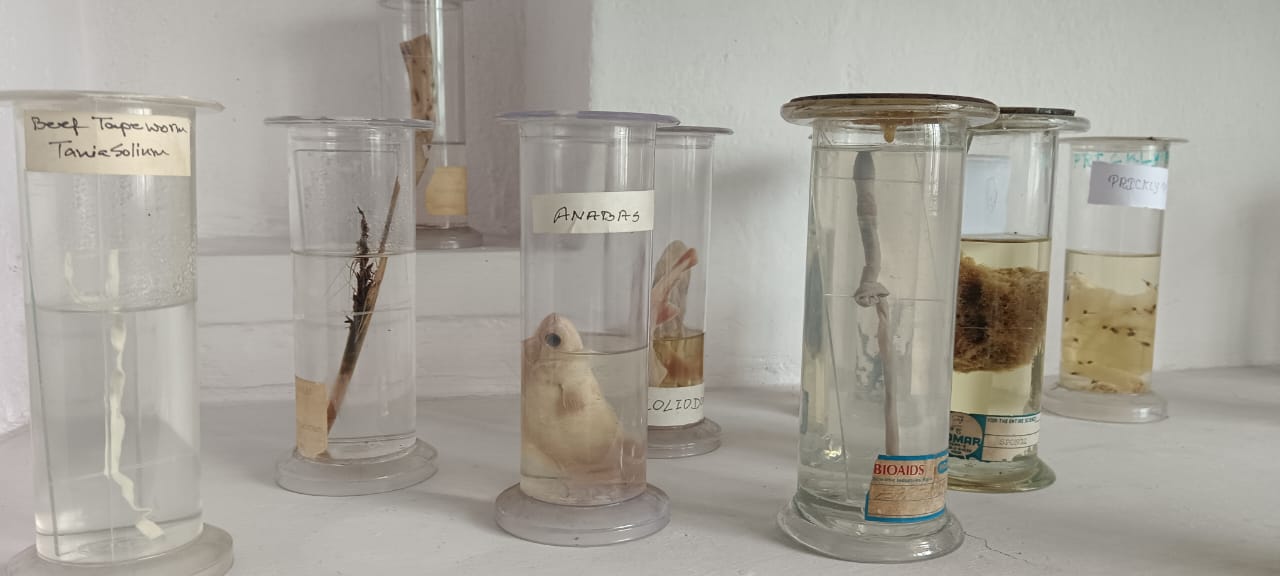 Hartmann Girls' High School in Digha Ghat, Patna