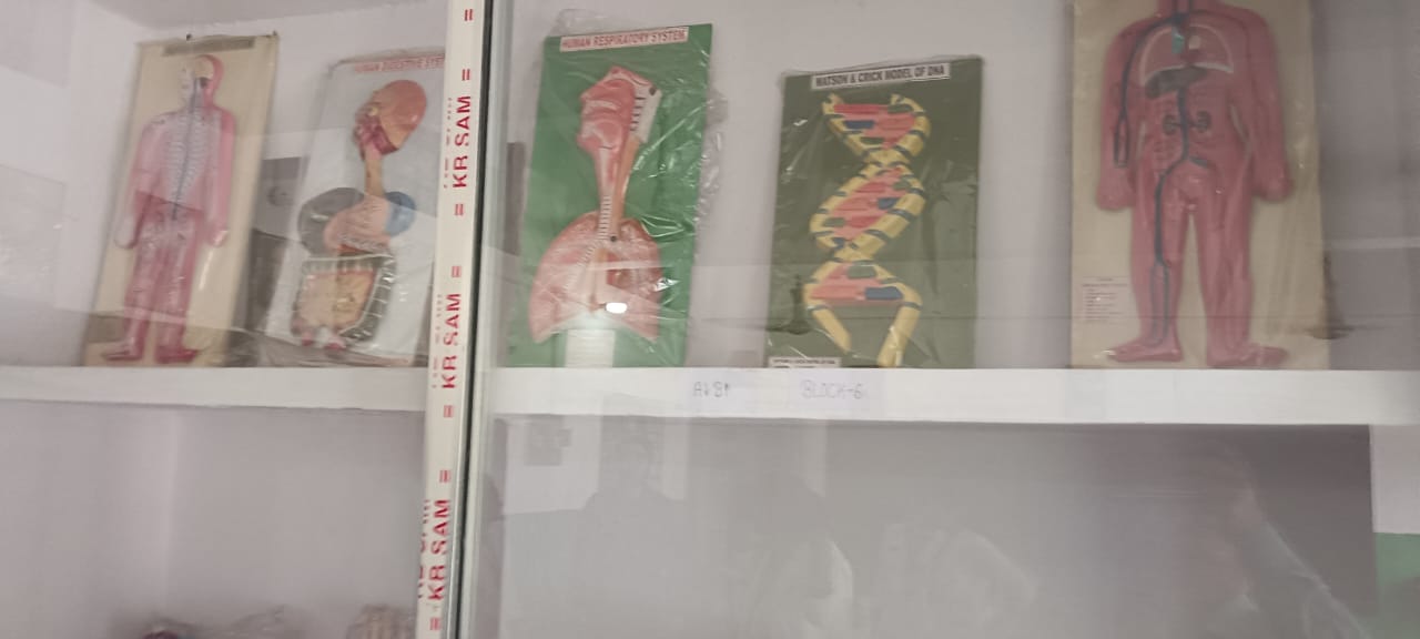 Hartmann Girls' High School in Digha Ghat, Patna