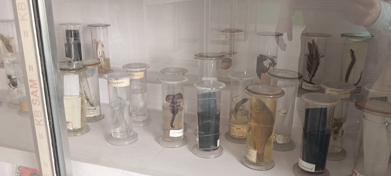 Hartmann Girls' High School in Digha Ghat, Patna