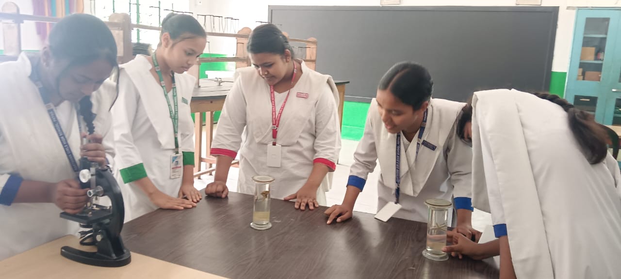 Hartmann Girls' High School in Digha Ghat, Patna