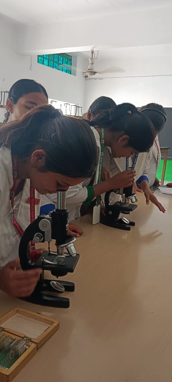 Hartmann Girls' High School in Digha Ghat, Patna