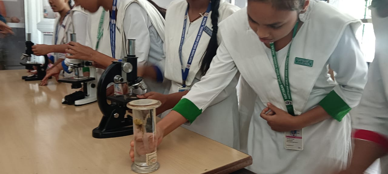 Hartmann Girls' High School in Digha Ghat, Patna